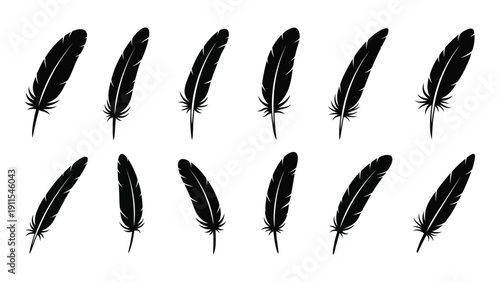 A collection of twelve distinct black feathers arranged in two neat rows. Vector