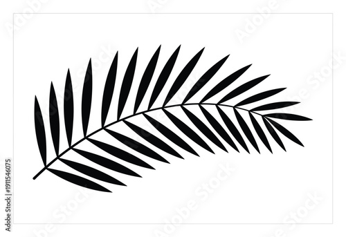 Minimalist Black Palm Frond Silhouette on White Background