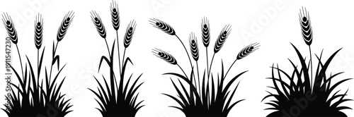 Black wheat grass silhouette collection, isolated barley cereal crop bundle vector, agricultural harvest botanical element farming design set