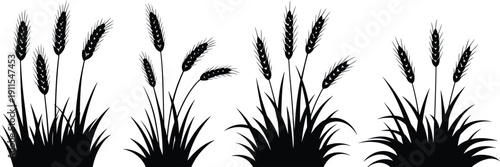 Black wheat and barley grass silhouette set, isolated cereal crop bundle vector, agricultural harvest botanical element farming design collection