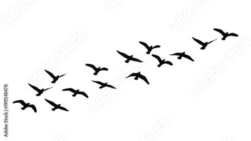 A flock of birds flying in a diagonal formation against a white background. Vector