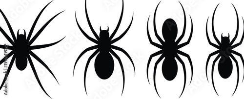 Black spider silhouette illustration featuring four distinct spiders with varied body shapes and leg positions, creative arachnid artwork design for nature, biology, Halloween, and education