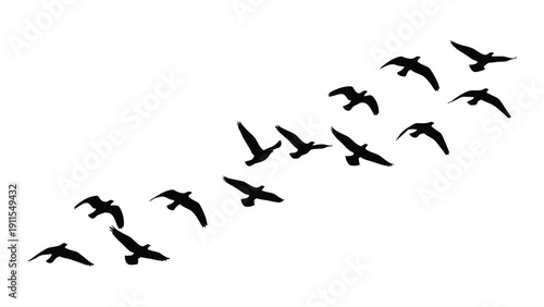A flock of birds flying in a diagonal formation against a white background Vector