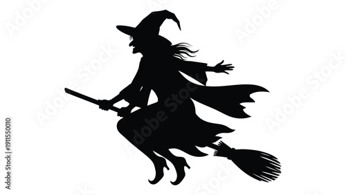 A silhouette of a witch flying on a broomstick with a black cat Vector