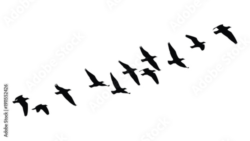 A flock of birds flying in a v-formation against a white background Vector