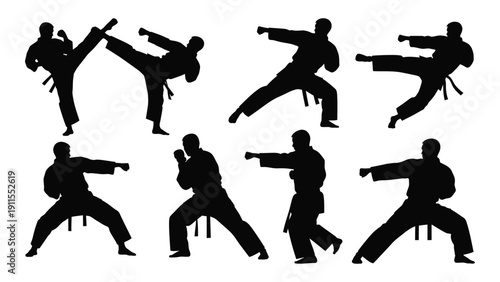 Silhouettes of martial artists performing various kicks and stances Vector