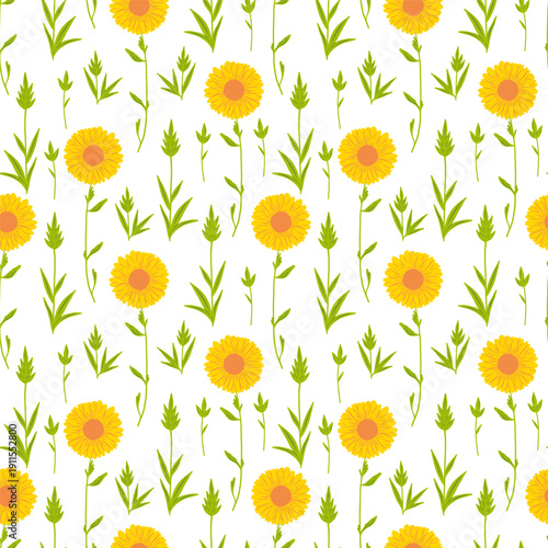 Floral cute seamless pattern with hand drawn beautiful flowers, leaves and herb. Spring and summer trendy background. Abstract modern print. Vector flat illustration.