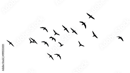 A flock of birds flying in a v-formation against a white background Vector