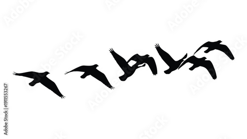 A flock of birds flying in a v-formation against a white background Vector