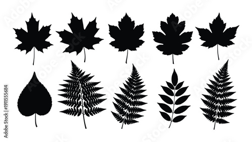 A collection of various leaf shapes and patterns in black and white. Vector