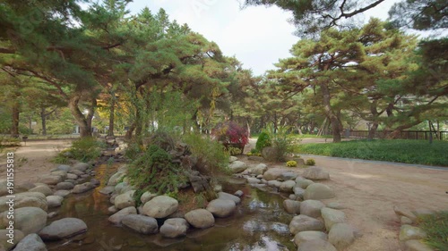 path in the forest, pine, pinetree, pine forest park, pine grove park