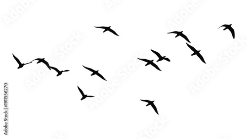 A flock of birds flying in a v-formation against a white background Vector