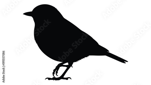 A black silhouette of a bird standing on one leg against a white background Vector