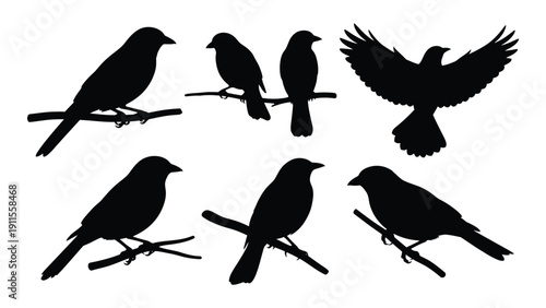 Canvas Print Silhouettes of various birds in flight and perched on branches Vector