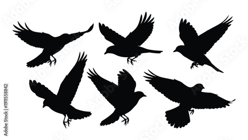 A group of seven birds in flight against a white background Vector