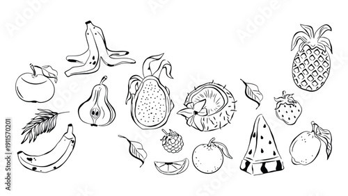 Fruits vector illustration with colorful cartoon style images