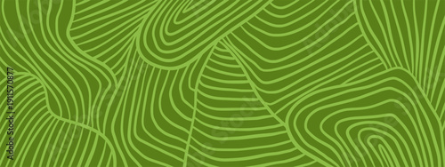 Green vineyard farm field pattern. Wine background texture for agriculture landscape in eco design.