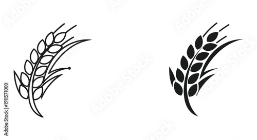 Hand drawn wheat ears illustration black and white minimalist line art vector sketch for harvest food nature