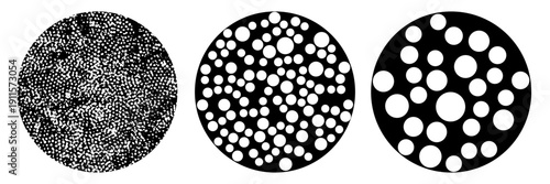 Abstract geometric gobo pattern with circles and dots. False stingray skin texture. BW silhouette bg of Gobos light effect. Vector illustration