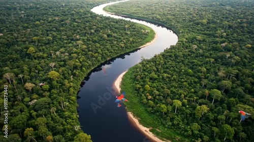 Aerial Rainforest River - 4K Tropical Wildlife Scene for Nature Documentaries & Wall Art
