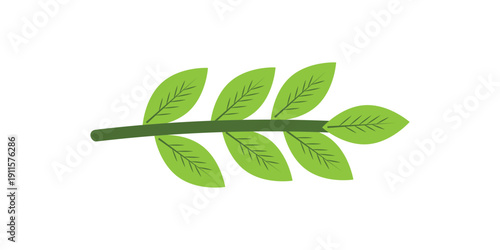 Simple green leaf branch illustration on white background.
