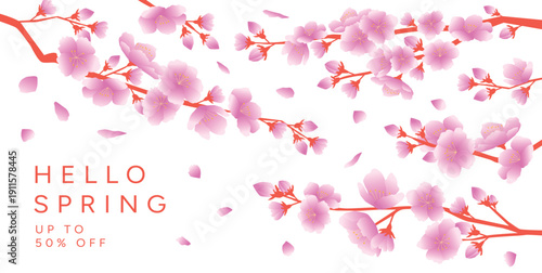 Hello Spring Sale Banner, Sakura Cherry Blossom branches, Falling Petals, up to 50 percent off text, flat Vector Illustration on white background