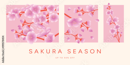 Sakura Season Sale Poster Set, Cherry Blossom Flowers and Buds, Pink Petals, 50 percent off Typography, flat Vector Illustration on light background