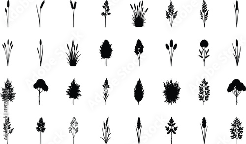 Black plant silhouette collection with wild grass, weeds, and botanical elements, cad drawing flat vector illustration, isolated on white background, floral nature set