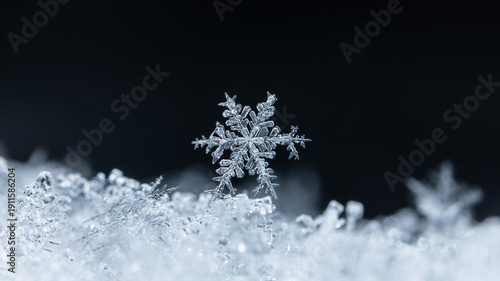 winter photo of snowflakes in the snow