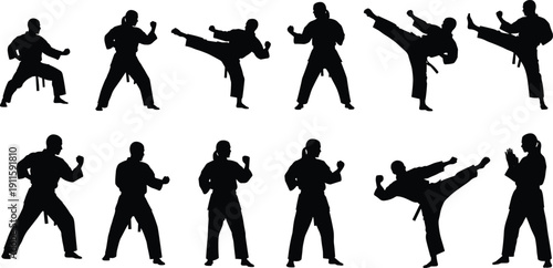 Collection of Martial Arts Fighter Silhouettes Performing Karate and Taekwondo Kicks and Combat Stances Isolated on White Background for Sports Training Design