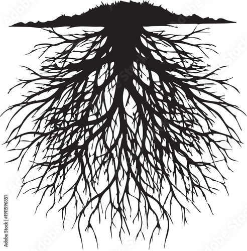 Large tree root system underground structure vector silhouette illustration complex network