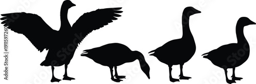 Family household chores silhouettes, women and child cleaning cooking 