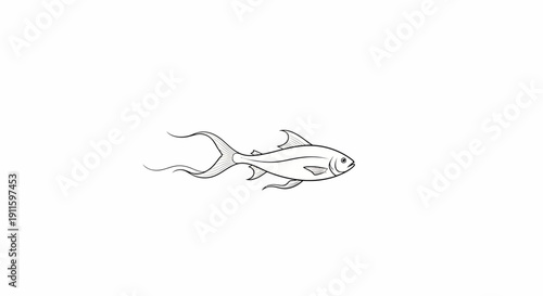 Detailed drawing of a shark swimming.