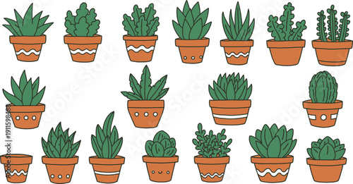 Isolated set of succulent cactus plants growing in terracotta clay flowerpots for a home garden botany display