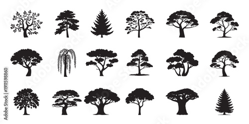 various deciduous trees silhouettes vector on the white background