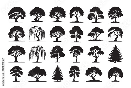 various deciduous trees silhouettes vector on the white background