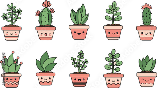 Small potted cactus and houseplant set with green leaves and spring flowers growing in garden flowerpots isolated on a white background for botany and gardening growth