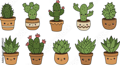 A set of fresh cactus plants and young green herbs like mint or parsley grow in potted flowerpots, creating an isolated display of botany and nature for indoor gardening