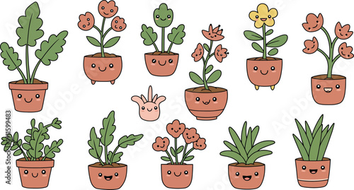 A diverse collection of potted flowers and green plants showing vibrant growth and lush leaves in terracotta pots for spring garden botany