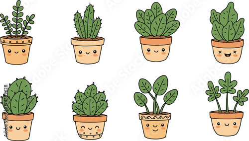 A set of fresh potted cactus plants and young seedlings grows in white pots, showing vibrant flora and botanical life isolated on a garden background for houseplant gardening