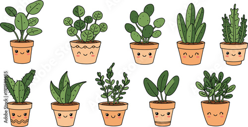 A small potted houseplant with green leaves and spring flowers growing in soil for indoor gardening isolated on white