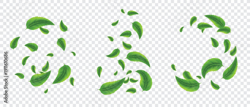 Green leaves flying, realistic 3d tea leaf falling, dynamic blur motion. Foliage whirl in air for fresh herbal organic poster, banner. Tea leaves scattering, eco bio packaging. Vector isolated set