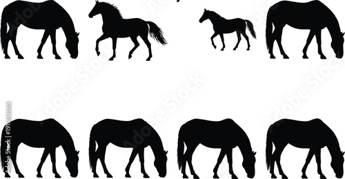 Collection of horse silhouettes in various poses and sizes