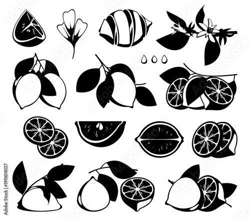 Black lemons. Cartoon silhouette of organic citrus fruits, ink tangerine slices and branches for print design. Healthy food vector concept. Delicious juice ingredients for drinks and food