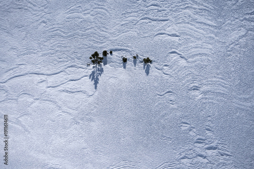 Winter texture, snow background
