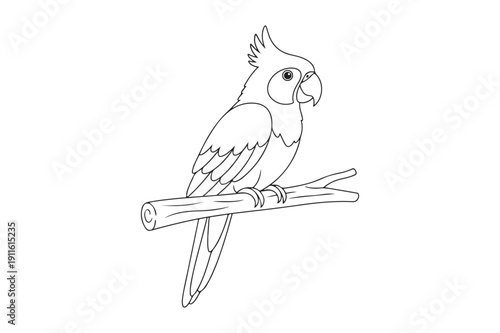 Cute Parrot Coloring Page Vector for Kids and Adults, Parrot Coloring page vector illustration