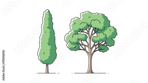 Two different tree species including a tall narrow cypress and broad leafy oak shown in a clean colored outline style for landscape art.