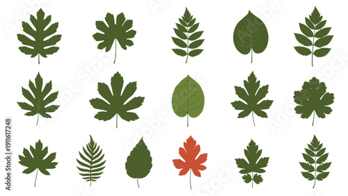Collection of various green leaf silhouettes featuring different shapes and sizes with one standout red autumn leaf on a white background.