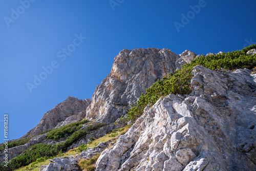 Dzhamdzhiev rib on the rocky Mt. Vihren with a dwarf mountain pine in summer. Summer landscape in Pirin highlands, Bulgaria.