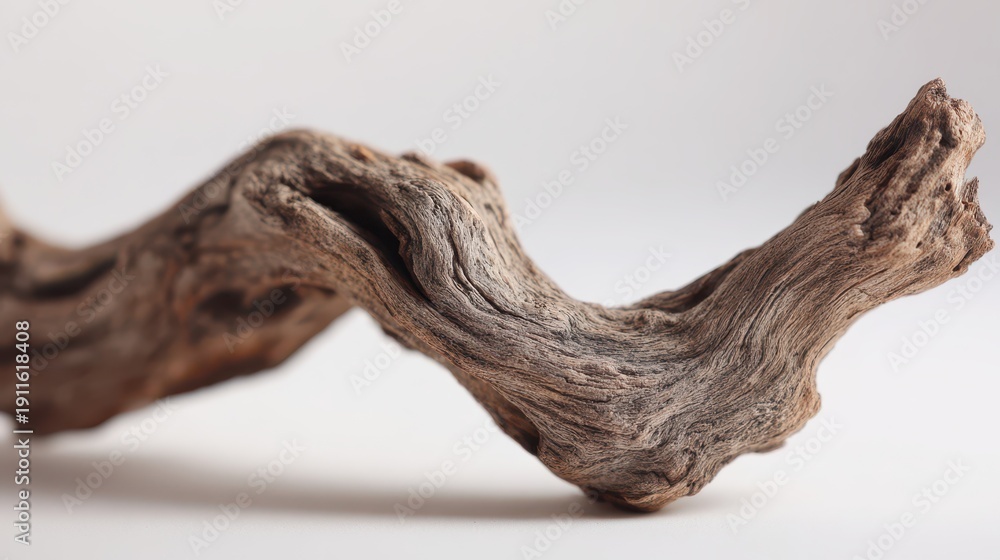 Obraz premium Weathered driftwood limb isolated on a white studio background, rugged wood texture